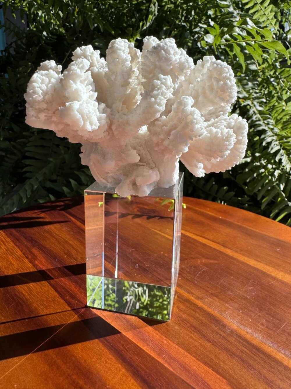 Realistic Faux White Coral Sculpture on Crystal Block Base, Modern Coastal Decor